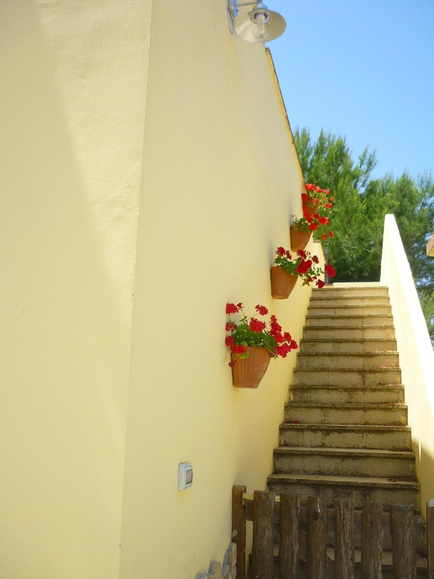 Agriturismo Tenuta La Siesta Gallipoli Exterior photo