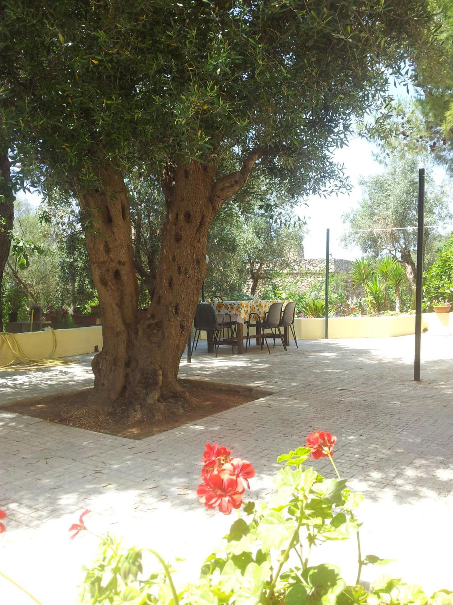 Agriturismo Tenuta La Siesta Gallipoli Exterior photo