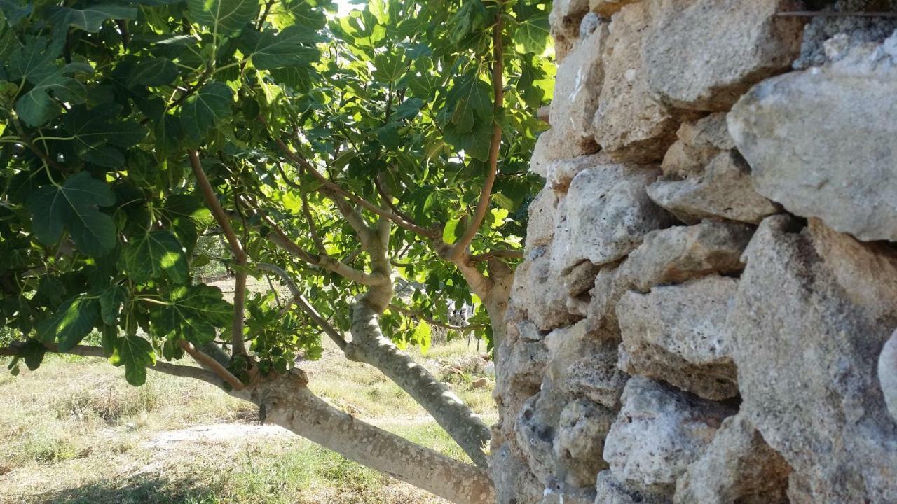 Agriturismo Tenuta La Siesta Gallipoli Exterior photo