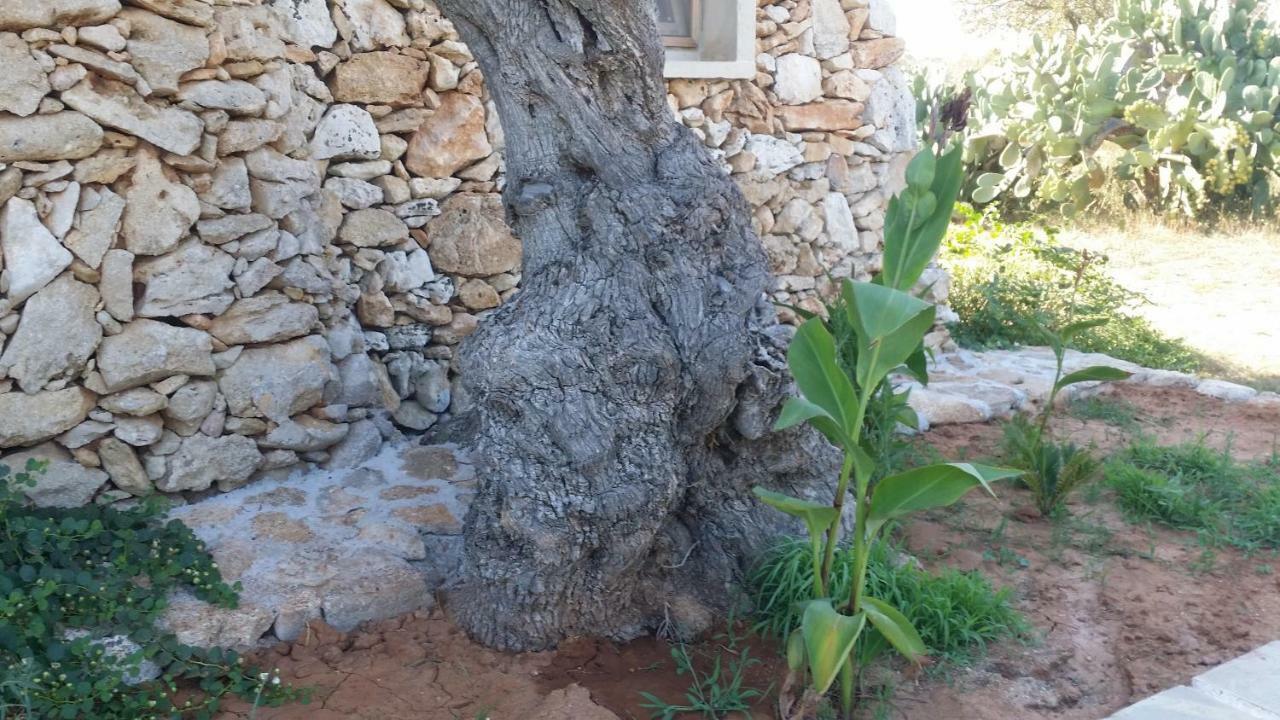 Agriturismo Tenuta La Siesta Gallipoli Exterior photo
